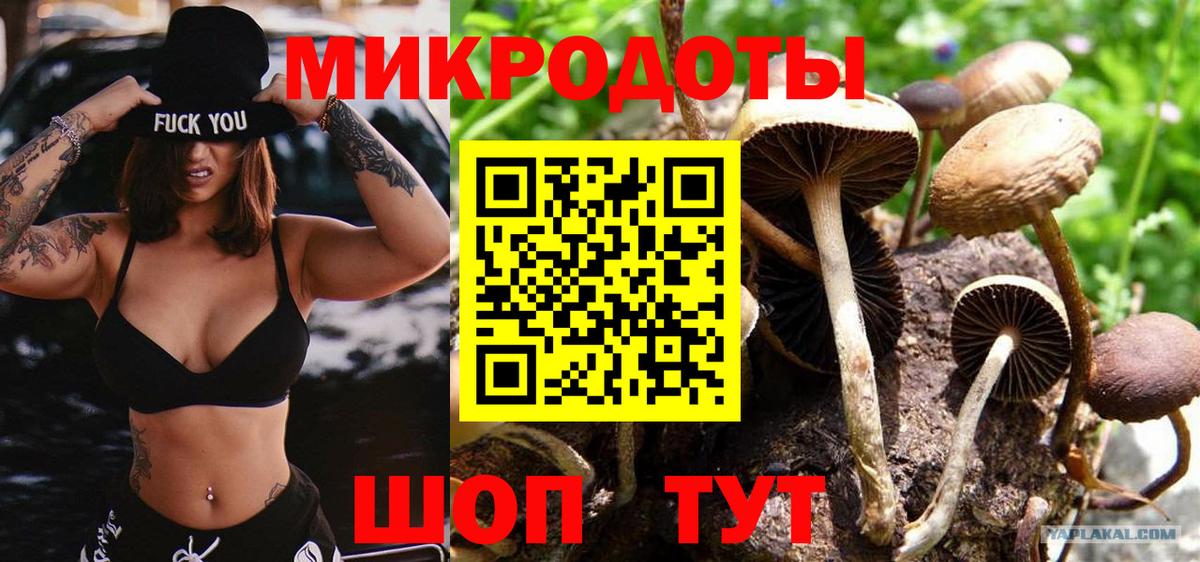 Псилоцибиновые грибы Cubensis Пугачёв